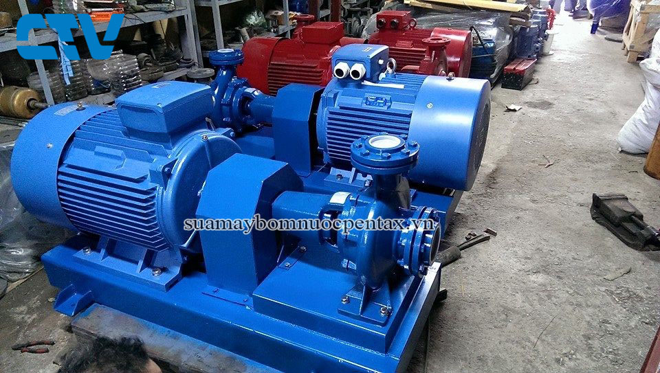 Hướng dẫn lựa chọn máy bơm phù hợp với từng nhu cầu sử dụng