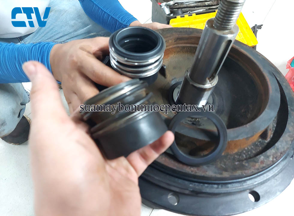 Sửa chữa thay phớt máy bơm nước Pentax chuyên nghiệp, giá tốt