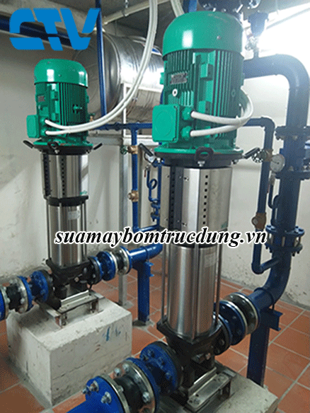 Sửa máy bơm trục đứng wilo - nhanh chóng chuyên nghiệp