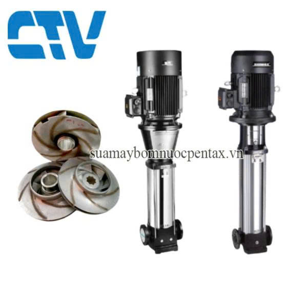 Cánh, chén máy bơm trục đứng - Shimge BLT 32 - 4